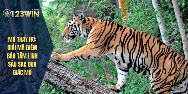 Mơ Thấy Hổ: Giải Mã Điềm Báo Tâm Linh Sâu Sắc Qua Giấc Mơ 8 mơ thấy hổ